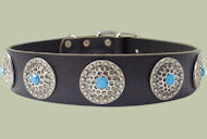 Leather Designer dog collar for BELGIAN MALINOIS